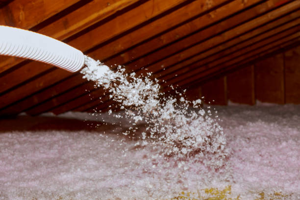 Best Insulation Replacement Services  in Vevay, IN