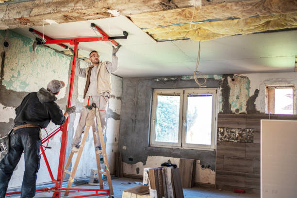 Best Insulation Removal Services  in Vevay, IN
