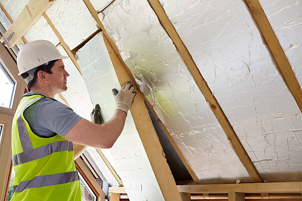 Best Insulation Contractor Near Me  in Vevay, IN