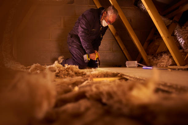 Best Garage Insulation Installation  in Vevay, IN